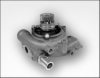 HEPU P1187 Water Pump
